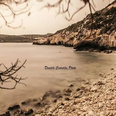 Oda ve Kahvaltı Horus *