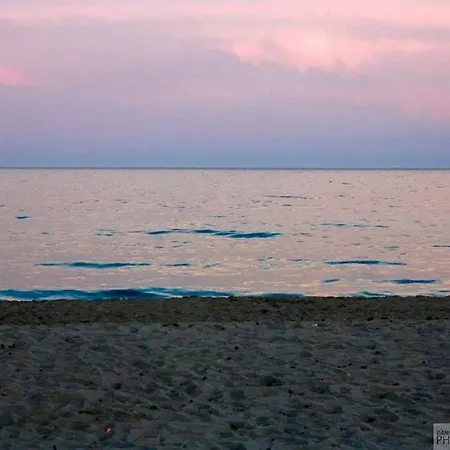 Horus *